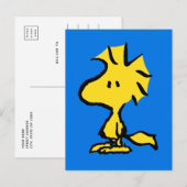 pinda's | Snoopy's Friend Woodstock Briefkaart (Voorkant / Achterkant)