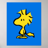 pinda's | Snoopy's Friend Woodstock Poster (Voorkant)