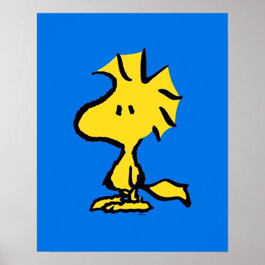 pinda's | Snoopy's Friend Woodstock Poster (Voorkant)