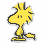 pinda's | Snoopy's Friend Woodstock Sticker (Voorkant)