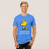 pinda's | Snoopy's Friend Woodstock Tri-Blend Shirt (Voorkant volledig)