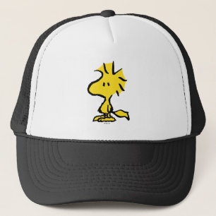 pinda's   Snoopy's Friend Woodstock Trucker Pet
