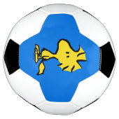 pinda's | Snoopy's Friend Woodstock Voetbal (Gedraaid)