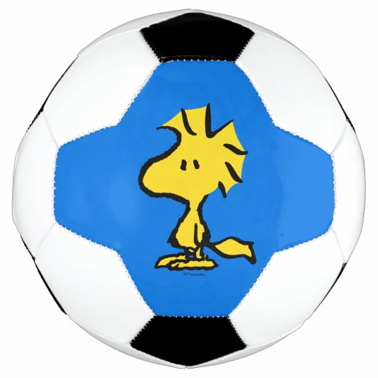 pinda's | Snoopy's Friend Woodstock Voetbal (Voorkant)
