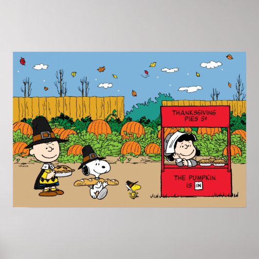 pinda's | Thanksgiving Charlie Brown Poster (Voorkant)