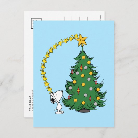 pinda's | Vakantievorming Briefkaart (Voorkant / Achterkant)