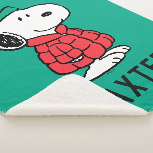 pinda's | wintermunt en -Pet Sherpa Deken (3/4)