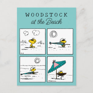 pinda's   Woodstock aan het strand Briefkaart