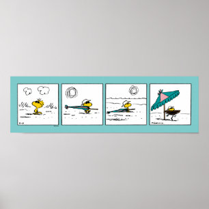 pinda's Woodstock aan het strand Poster