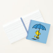 pinda's | Woodstock Blue Umbrella Notitieboek (Binnen)
