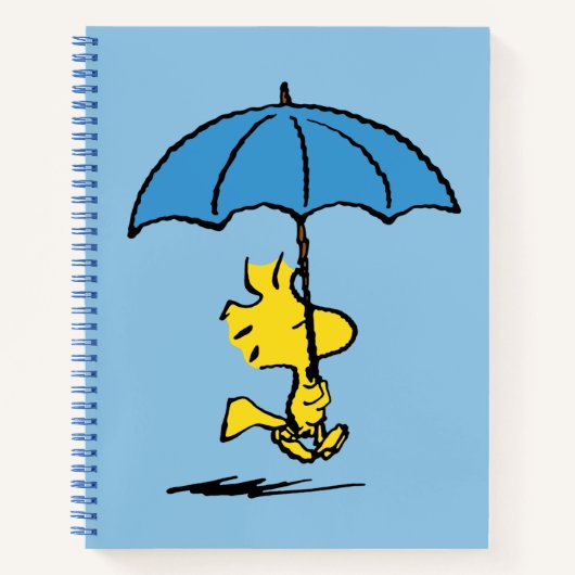 pinda's | Woodstock Blue Umbrella Notitieboek (Voorkant)
