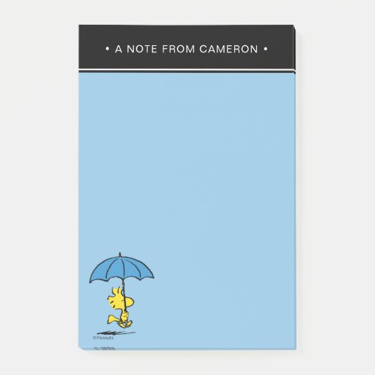 pinda's | Woodstock Blue Umbrella Post-it® Notes (Voorkant)