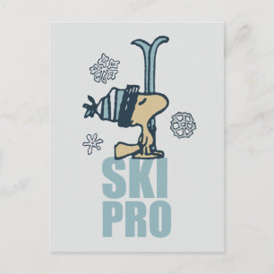 pinda's   Woodstock Ski Pro Briefkaart