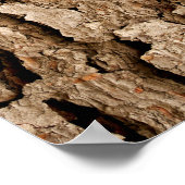 Pine Bark Abstract Poster (Hoek)