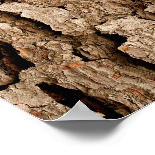 Pine Bark Abstract Poster (Hoek)