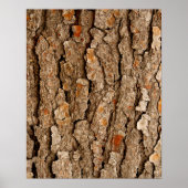 Pine Bark Abstract Poster (Voorkant)