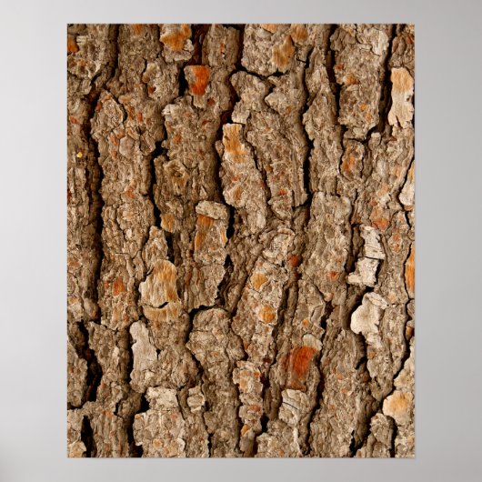 Pine Bark Abstract Poster (Voorkant)