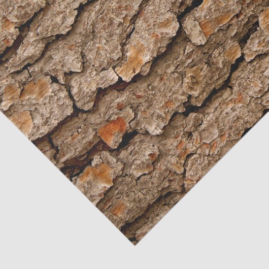 Pine Bark Textuur Tissuepapier (Detail)