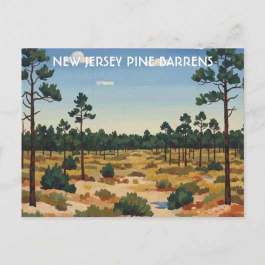 Pine Barrens New Jersey Reizen Briefkaart (Voorkant)