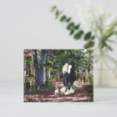 "Pine Barrens run"-postkaart Briefkaart (Staand voorkant)