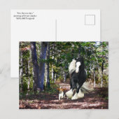 "Pine Barrens run"-postkaart Briefkaart (Voorkant / Achterkant)