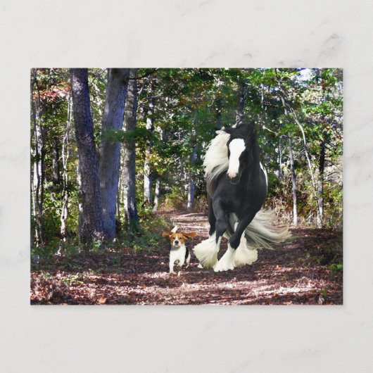 "Pine Barrens run"-postkaart Briefkaart (Voorkant)