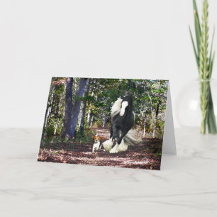 Pine Barrens Run Wenskaart Kaart