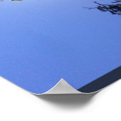 Pine Behind White Floral Tree Blossom Poster (Hoek)