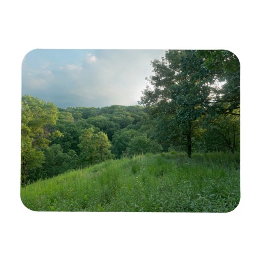 Pine Bend Bluff Overkijkend Valley Woodlands Magneet (Horizontaal)