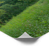 Pine Bend Bluff Overkijkend Valley Woodlands Poster (Hoek)