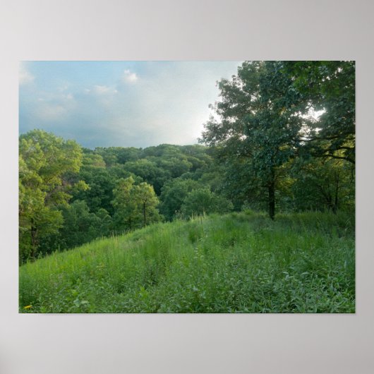 Pine Bend Bluff Overkijkend Valley Woodlands Poster (Voorkant)