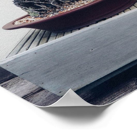 Pine Bonsai Poster (Hoek)