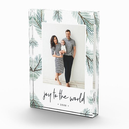 Pine Boughs | Vakantieveld fotoblok (Rechts)