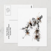 Pine Branch, Sumi-e Briefkaart (Voorkant / Achterkant)