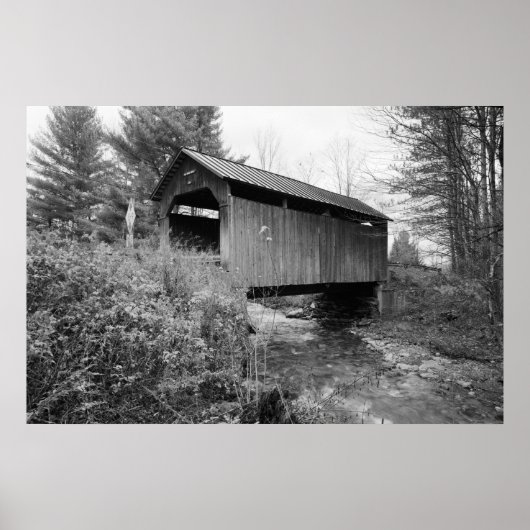 Pine Brook Bridge Poster (Voorkant)