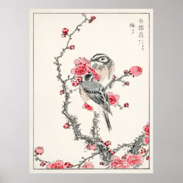 Pine Bunting On Plum Tree beroemd gemaakt door Num Poster