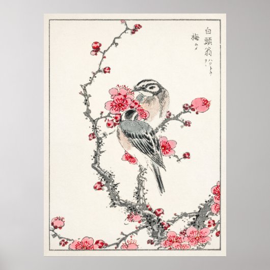 Pine Bunting On Plum Tree beroemd gemaakt door Num Poster (Voorkant)