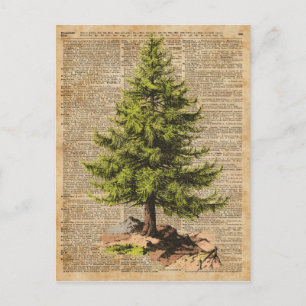 Pine,Cedar-boom,kerstboomkunst,Kunst met een woord Feestdagenkaart
