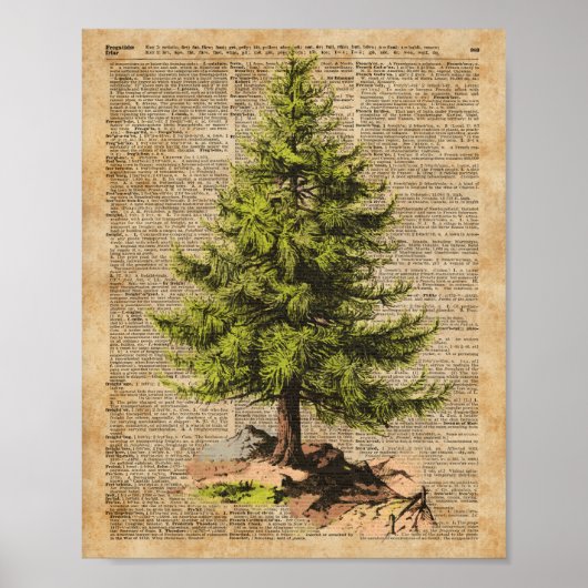Pine,Cedar-boom,kerstboomkunst,Kunst met een woord Poster (Voorkant)