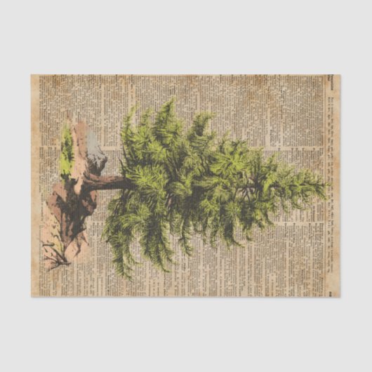 Pine,Cedar-boom,kerstboomkunst, kunstwerk, Tissuepapier (Voorkant)
