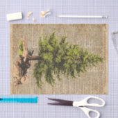 Pine,Cedar-boom,kerstboomkunst, kunstwerk, Tissuepapier (Craft)