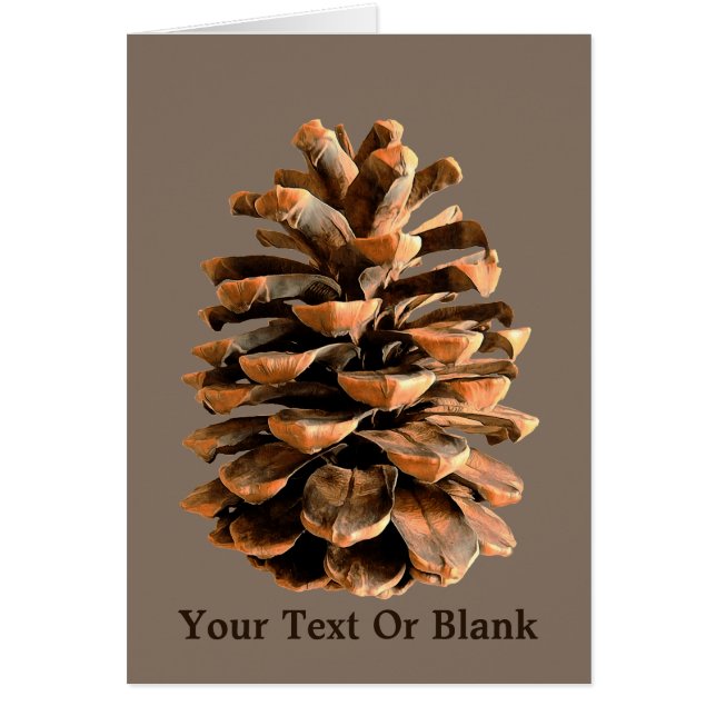 Pine Cone (Voorkant)