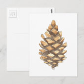Pine Cone Briefkaart (Voorkant / Achterkant)