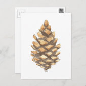 Pine Cone Briefkaart (Voorkant / Achterkant)