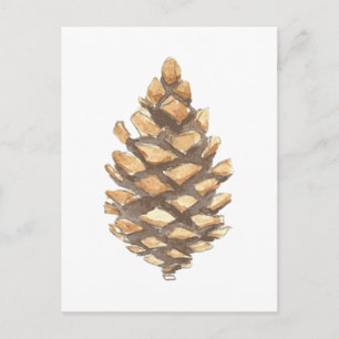 Pine Cone Briefkaart