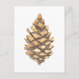 Pine Cone Briefkaart