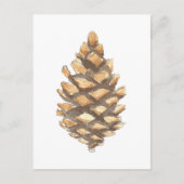 Pine Cone Briefkaart (Voorkant)