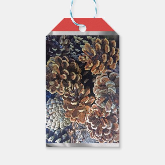 Pine cone cadeau label cadeaulabel (Voorkant)