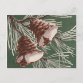 Pine Cone Christmas Bells Briefkaart (Voorkant)