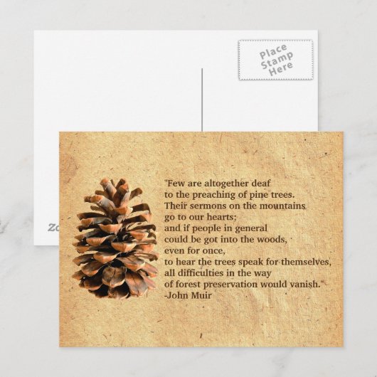 Pine Cone en John Muir Quote Briefkaart (Voorkant / Achterkant)